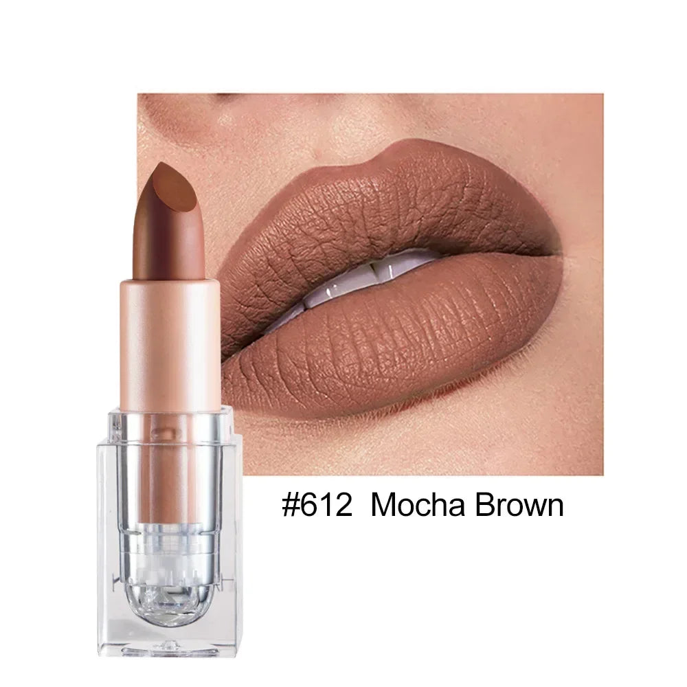 Lipstick Lip Gloss Long Lasting Moisture Cosmetic Lipstick Red Lip Matte Lipstick Waterproof