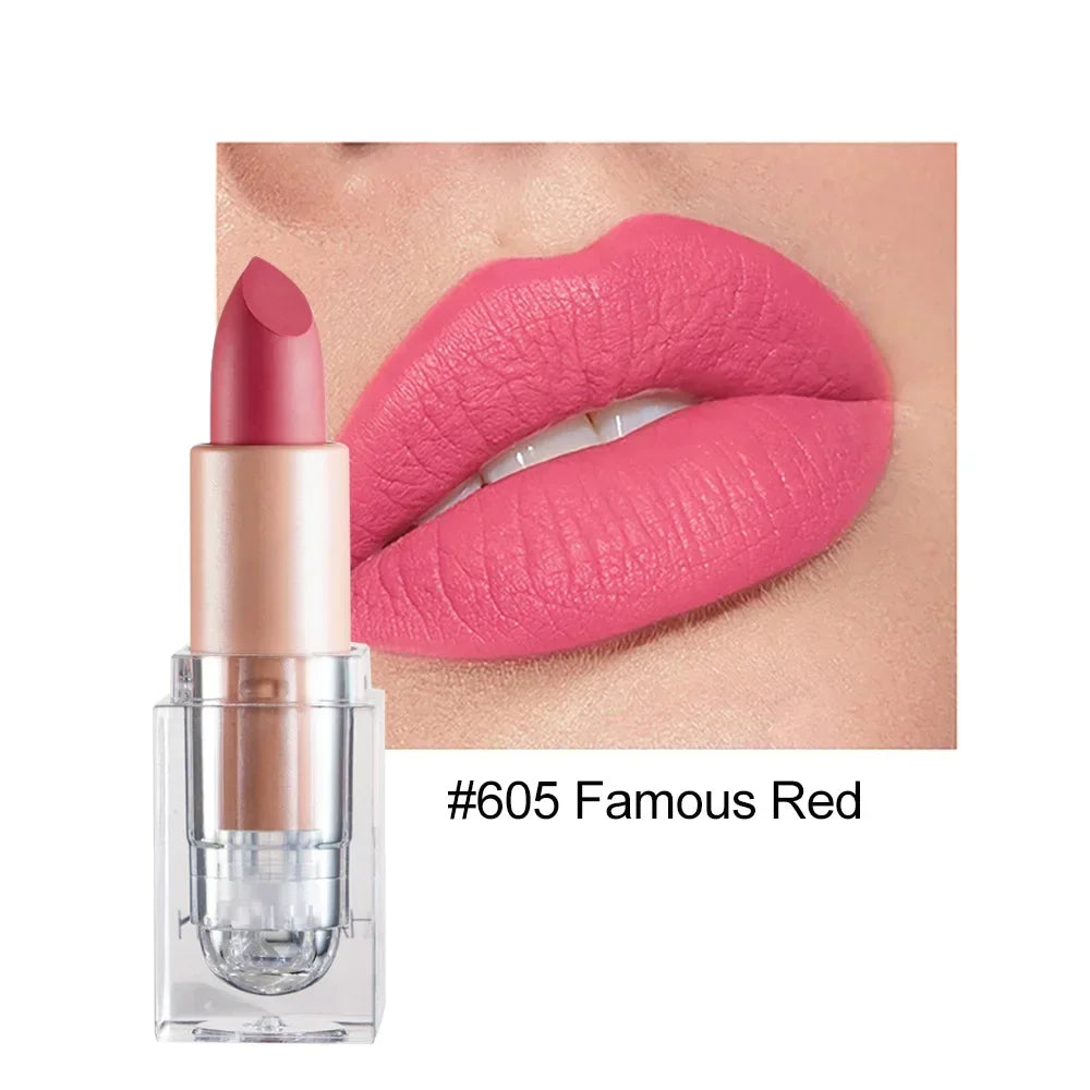 Lipstick Lip Gloss Long Lasting Moisture Cosmetic Lipstick Red Lip Matte Lipstick Waterproof