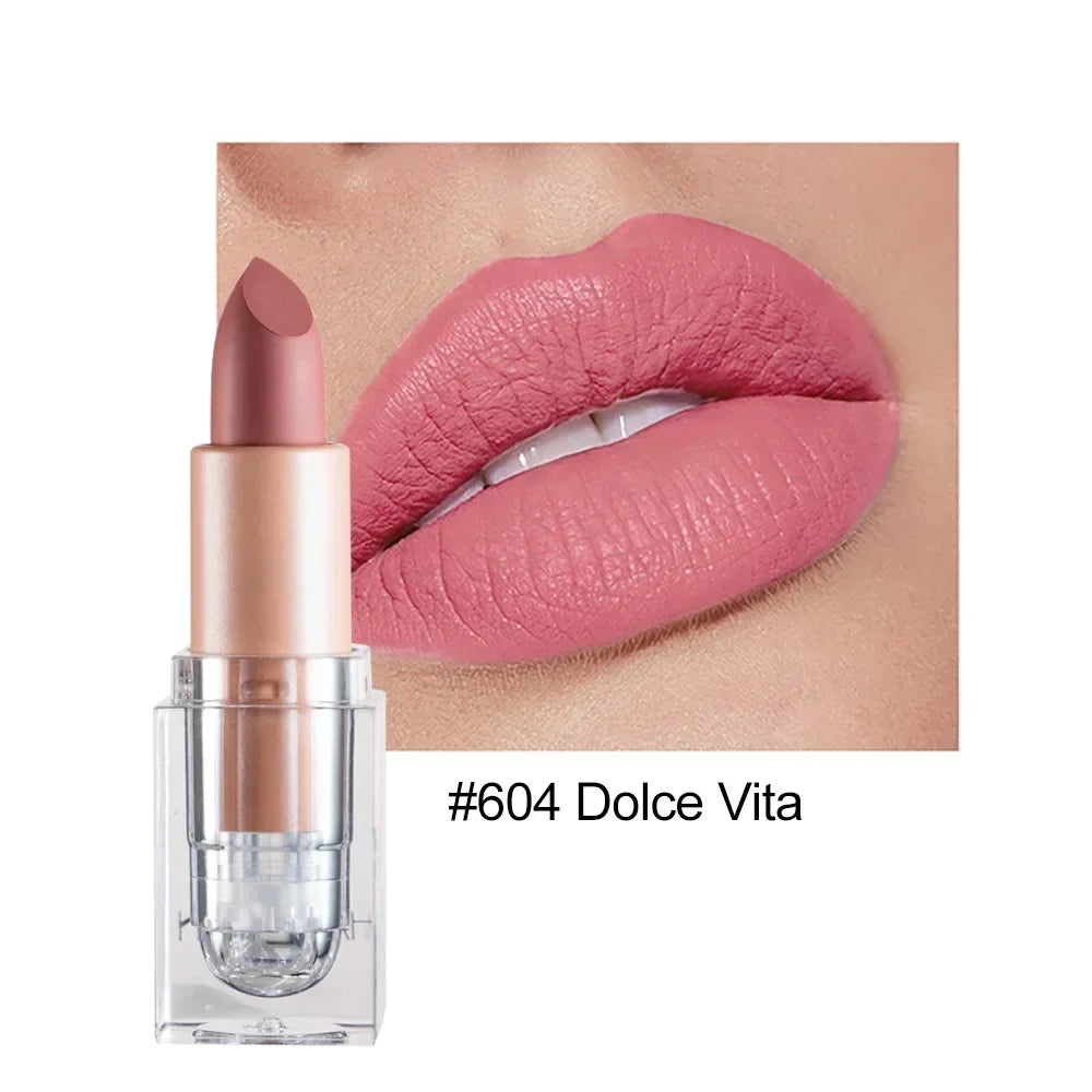 Lipstick Lip Gloss Long Lasting Moisture Cosmetic Lipstick Red Lip Matte Lipstick Waterproof