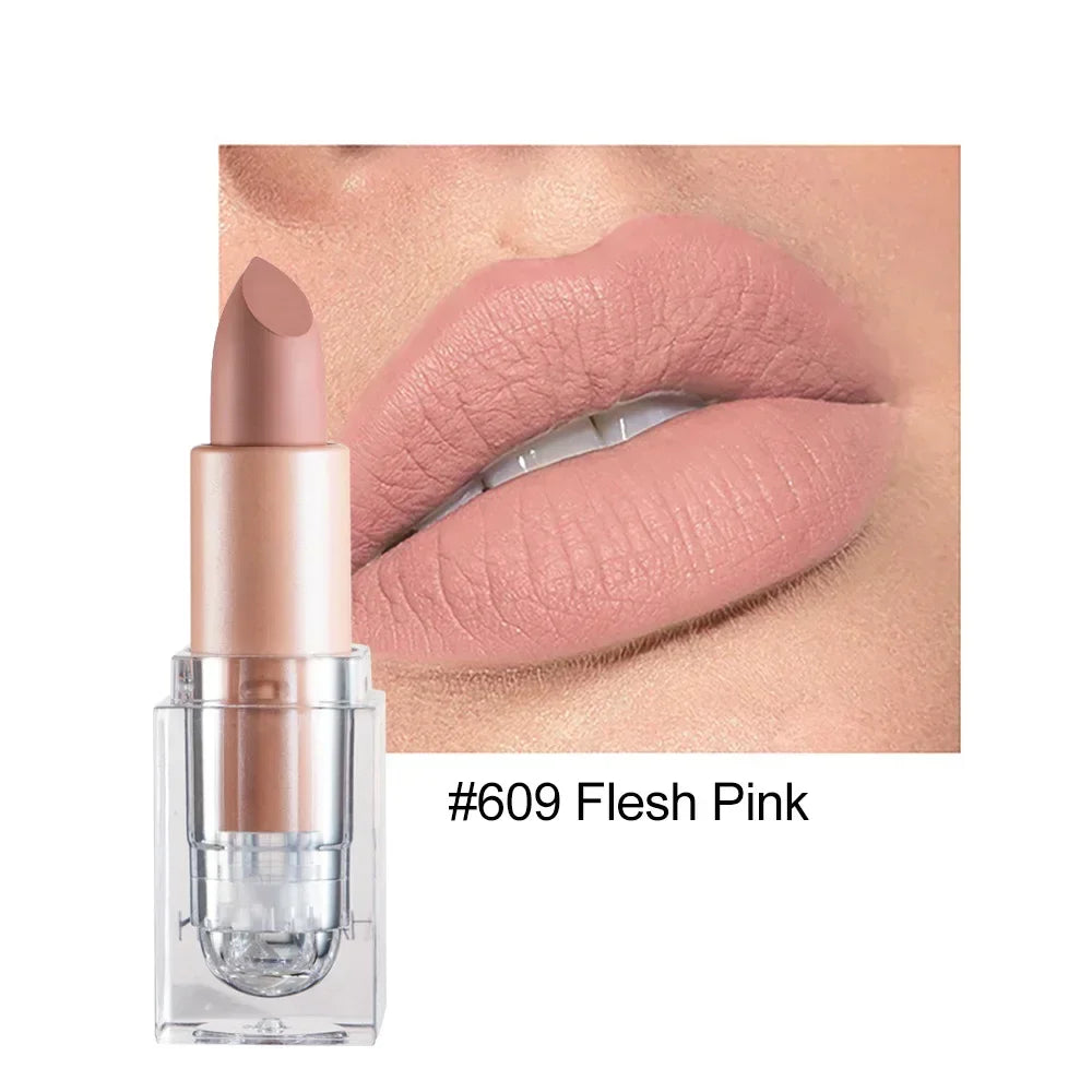 Lipstick Lip Gloss Long Lasting Moisture Cosmetic Lipstick Red Lip Matte Lipstick Waterproof