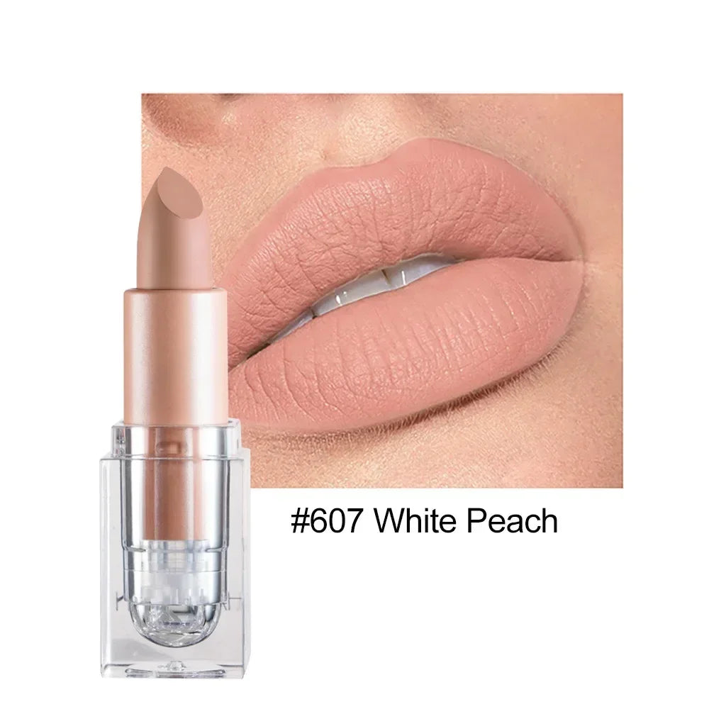 Lipstick Lip Gloss Long Lasting Moisture Cosmetic Lipstick Red Lip Matte Lipstick Waterproof