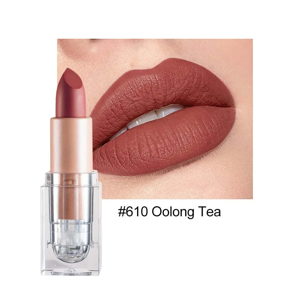 Lipstick Lip Gloss Long Lasting Moisture Cosmetic Lipstick Red Lip Matte Lipstick Waterproof